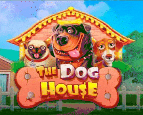 play The Dog House in betalice casino